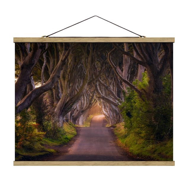 3D wall art Tunnel Of Trees