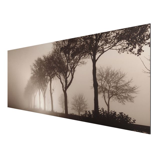 Trees on canvas Tree Avanue In Morning Mist