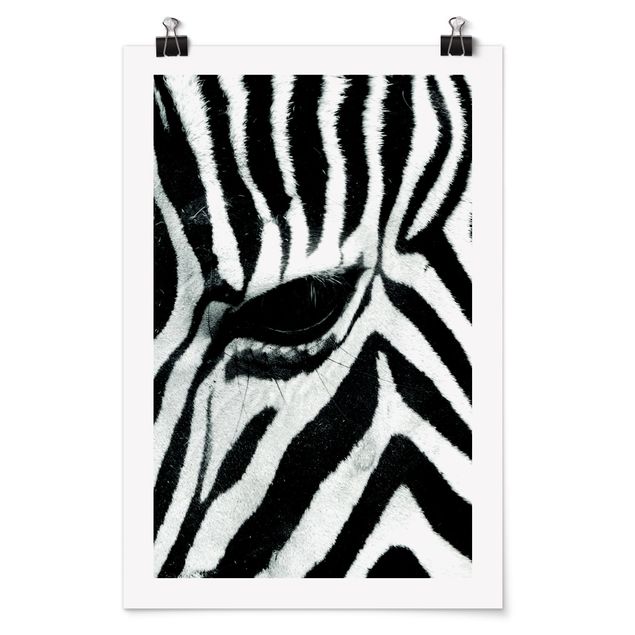Black and white poster prints Zebra Crossing No.3
