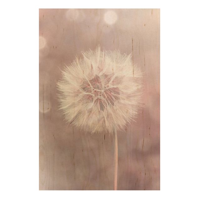 Wood prints flower Dandelion Bokeh Light Pink