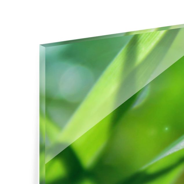 Glass Splashback - Green Ambiance II - Panoramic