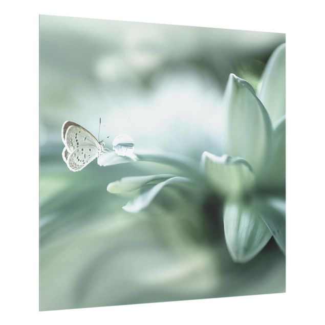 Glass splashback kitchen animals Butterfly And Dew Drops In Pastel Green