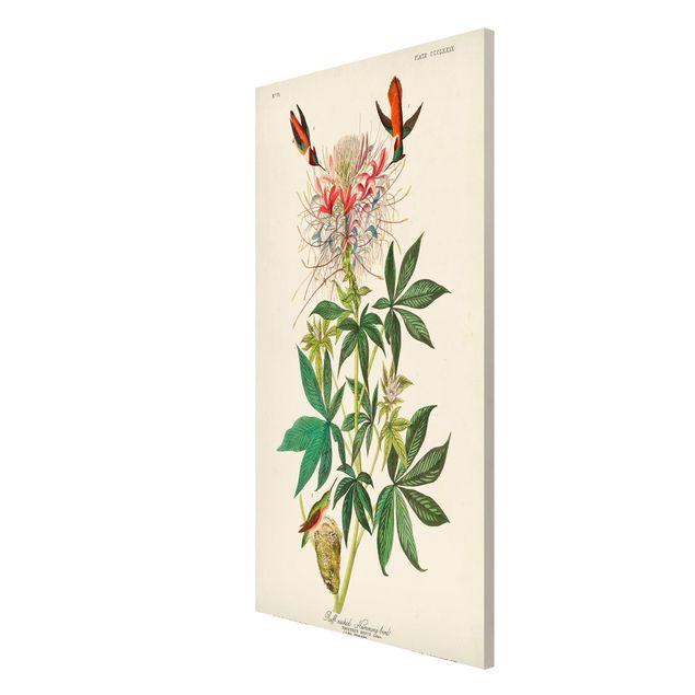 Flower print Vintage Board Allenkolibris