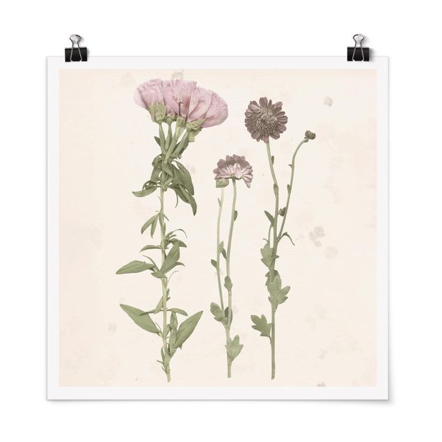 Flower print Herbarium In Pink III