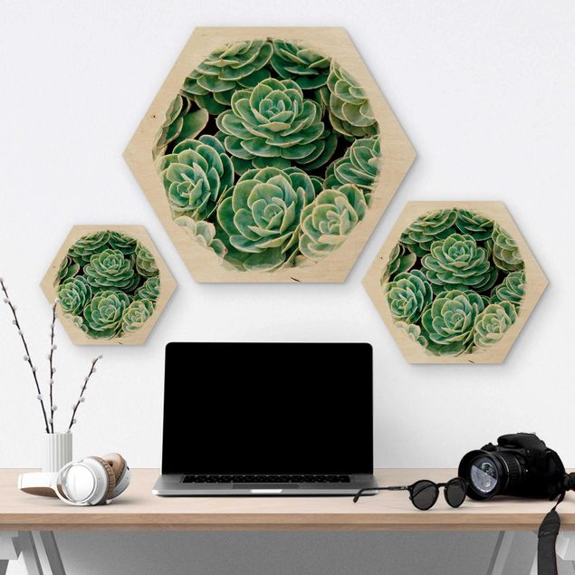 Wooden hexagon - Water Colours - Green Succulents