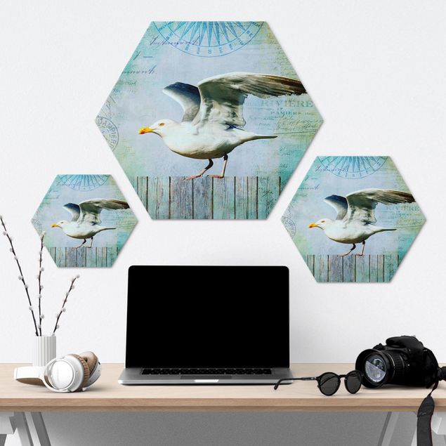 Hexagon photo prints Vintage Collage - Seagull On Wooden Planks