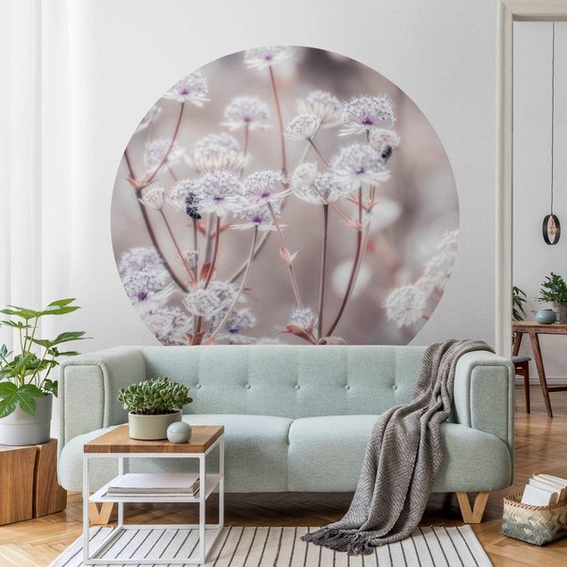 Contemporary wallpaper Wild Flowers Light As A Feather