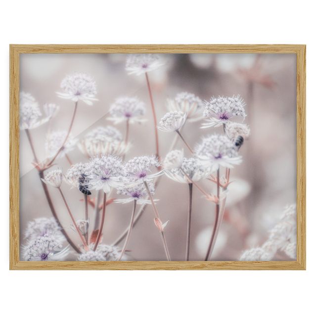 Flowers framed Wild Flowers Light As A Feather