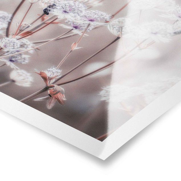 Monika Strigel Art prints Wild Flowers Light As A Feather