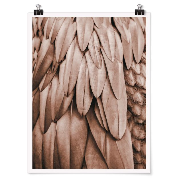 Prints brown Feathers In Rosegold