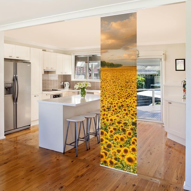 Kitchen Field With Sunflowers