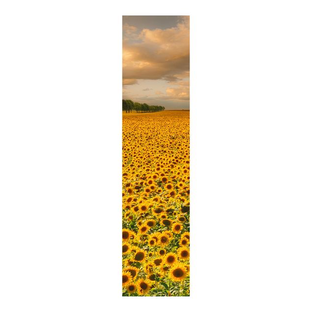 Sliding panel curtains flower Field With Sunflowers