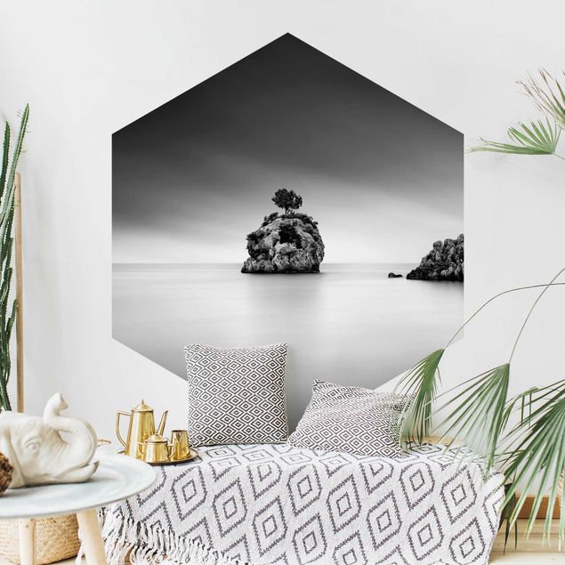 Modern wallpaper designs Rocky Island In The Sea Black And White