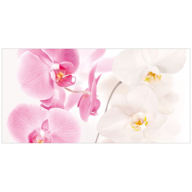 Window stickers flower Delicate Orchids
