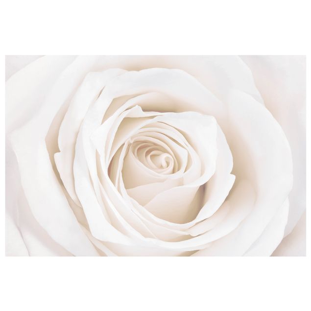 Flower window clings Pretty White Rose