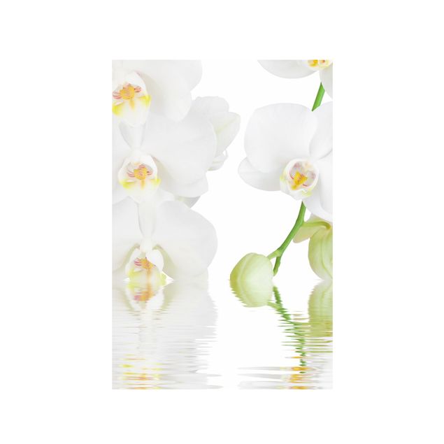 Flower window clings Spa Orchid - White Orchid
