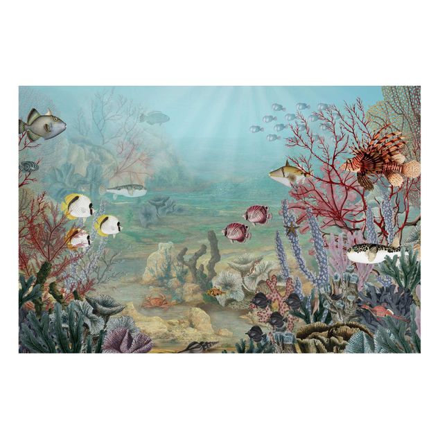 Prints fishes View from afar in the coral reef