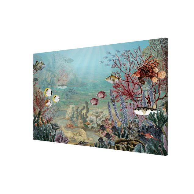 Landscape wall art View from afar in the coral reef