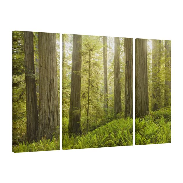 Contemporary art prints Redwood State Park Forest View