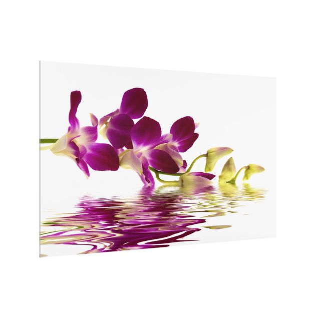 Glass splashback Pink Orchid Waters