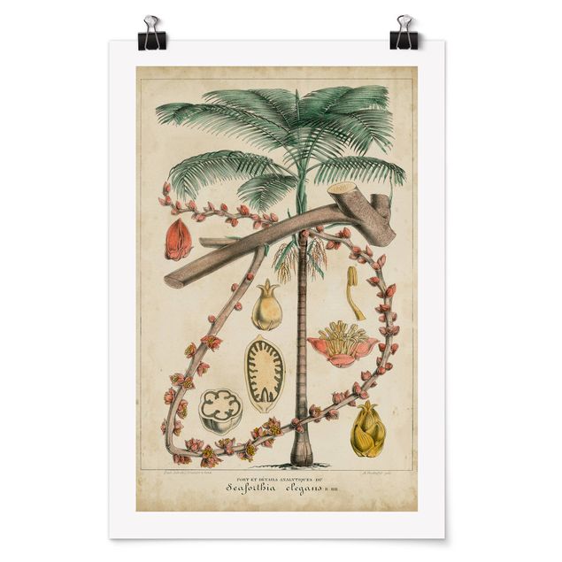 Flower print Vintage Board Exotic Palms II