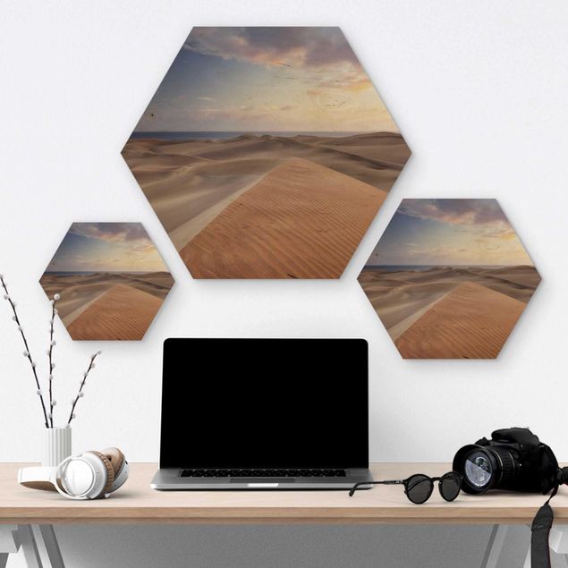 Wooden hexagon - View Of Dunes