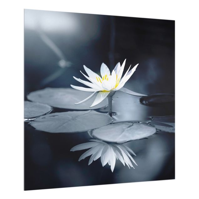 Glass splashbacks Lotus Reflection In The Water
