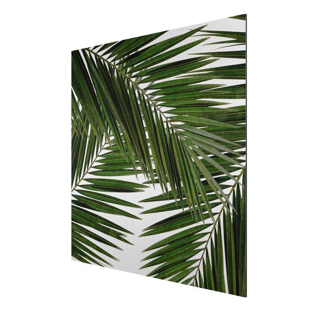 Art prints View Through Green Palm Leaves