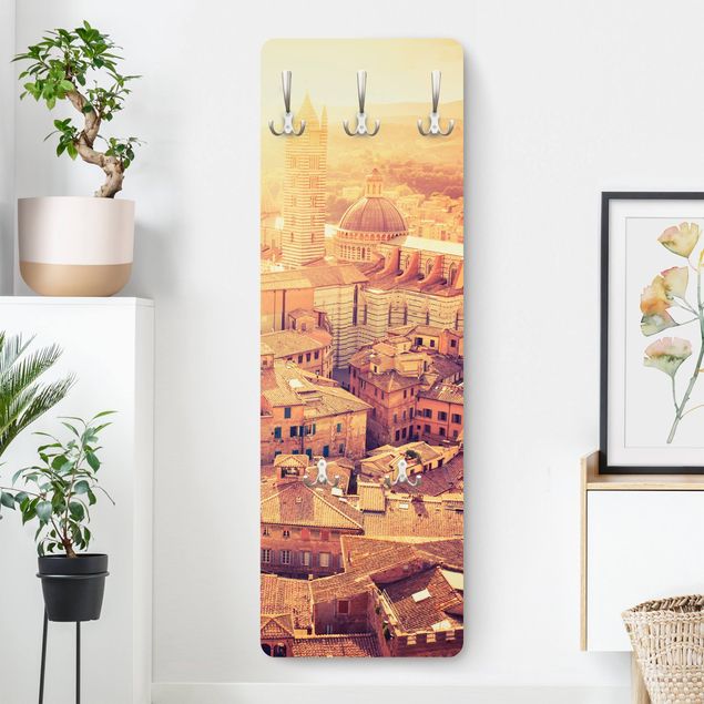 Wall mounted coat rack architecture and skylines Fiery Siena
