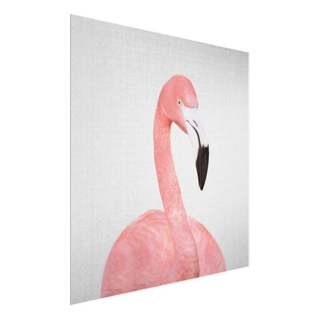 Feather poster Flamingo Fabian