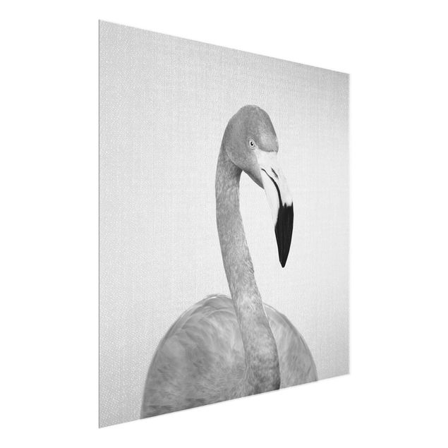 Feather prints Flamingo Fabian Black And White