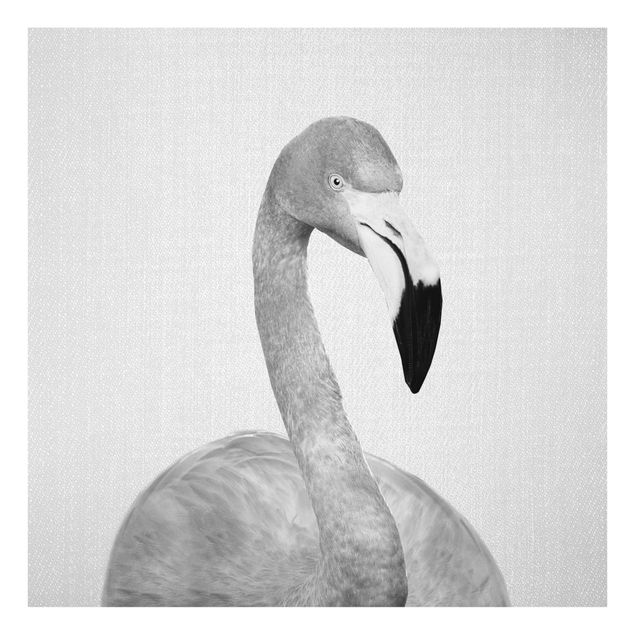 Prints black and white Flamingo Fabian Black And White