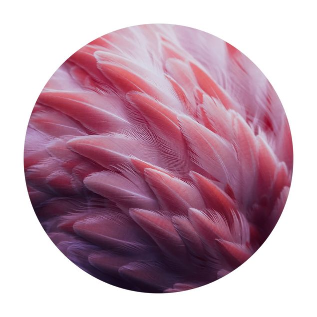 Nature rugs Flamingo Feathers Close-Up