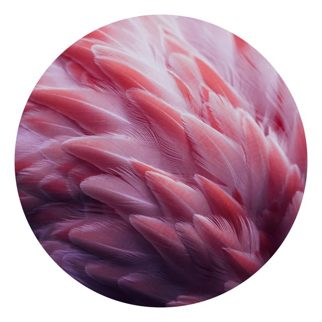 Floral wallpaper Flamingo Feathers Close-Up