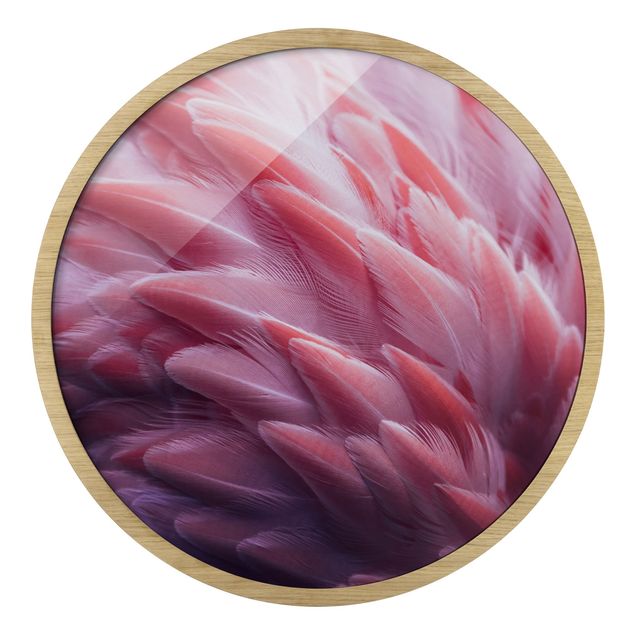 Prints Flamingo Feathers Close-Up