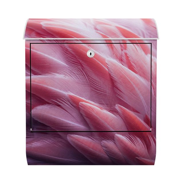 Letterboxes animals Flamingo Feathers Close-Up