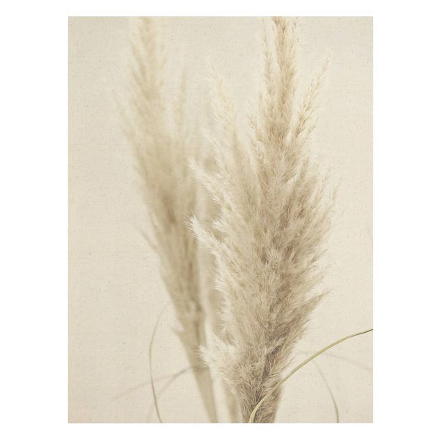 Modern art prints Soft Pampas Grass