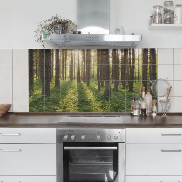 Kitchen Sunrays in the green forest