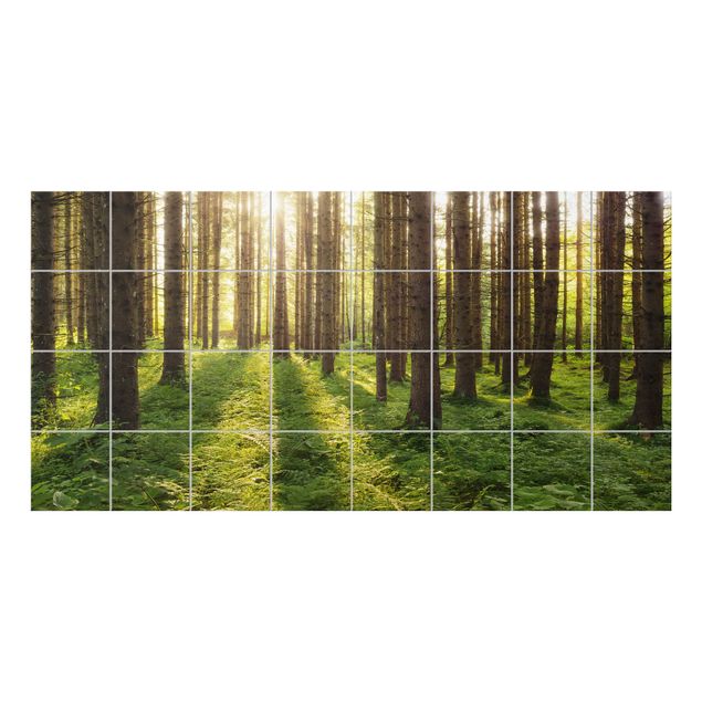 Tile films green Sunrays in the green forest