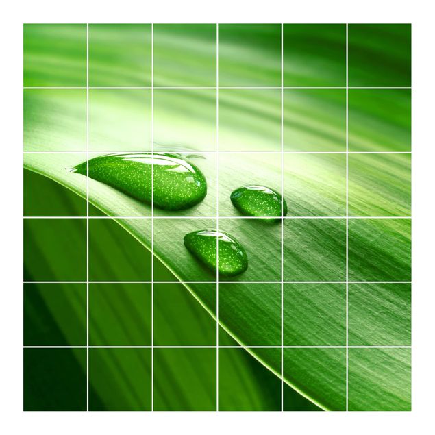 Tile films green Banana Leaf With Drops