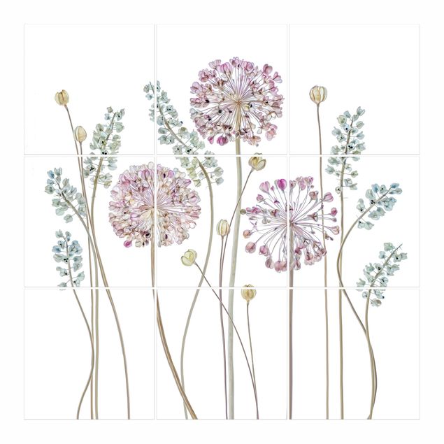 Tile stickers Allium Illustration