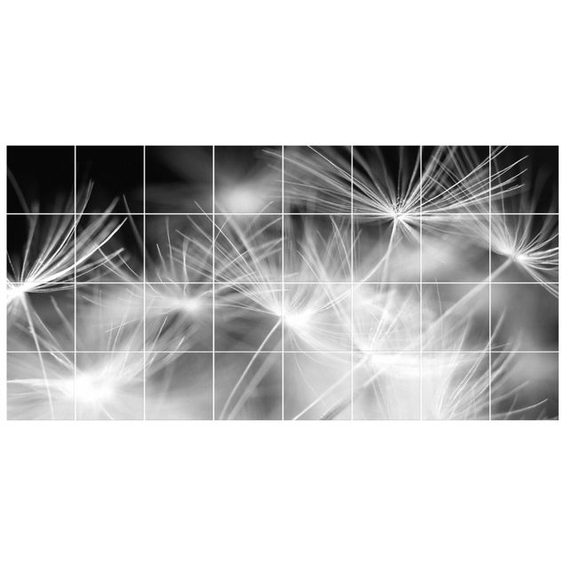 Self adhesive film Moving Dandelions Close Up On Black Background