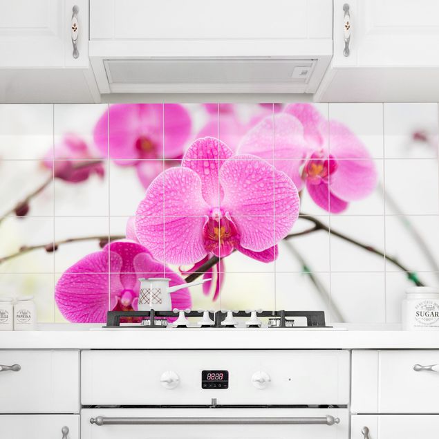 Kitchen Tile Mural Close-up of orchid