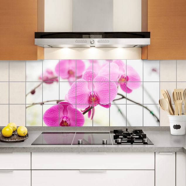 Adhesive films Tile Mural Close-up of orchid