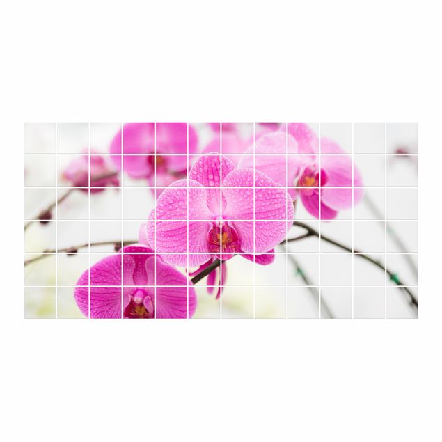 Kitchen tile stickers Tile Mural Close-up of orchid