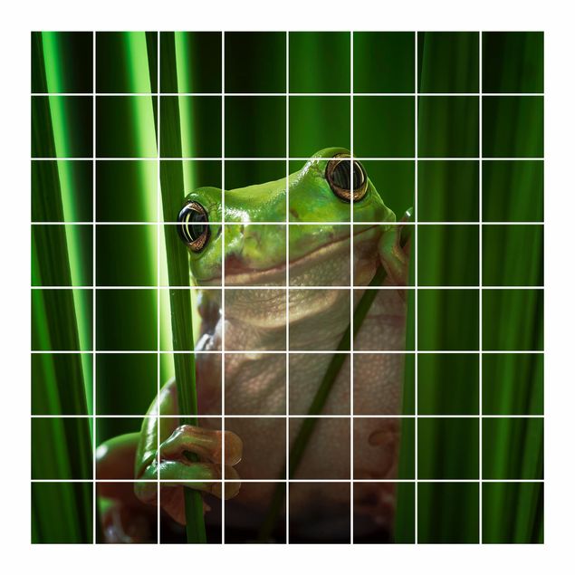Tile sticker - Merry Frog