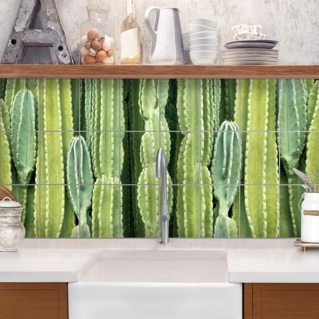 Kitchen Cactus Wall