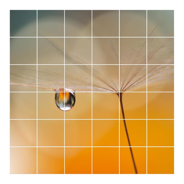 Self adhesive film Dandelion In Orange