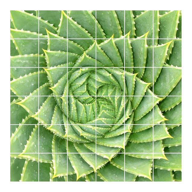 Tile films patterns Spiral Aloe