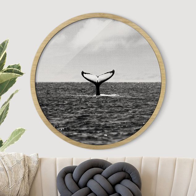 Framed beach pictures Tail Fin In Mid Ocean